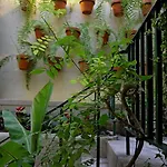 29 Madeira *
