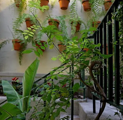 29 Madeira *