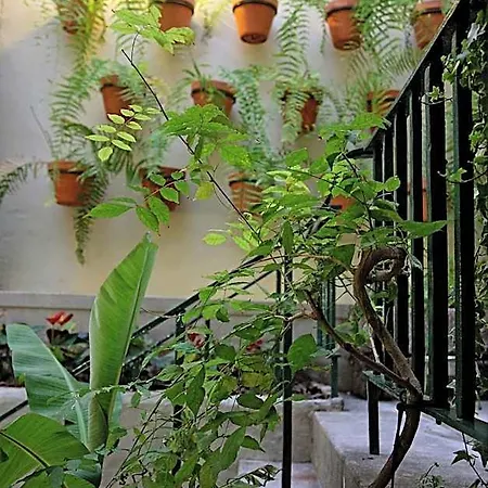 29 Madeira Albergue *