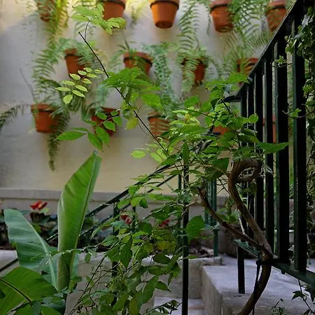 29 Madeira *
